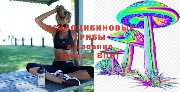 кокс Баксан