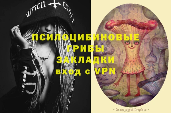 кокс Баксан