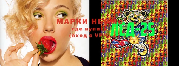 кокс Баксан